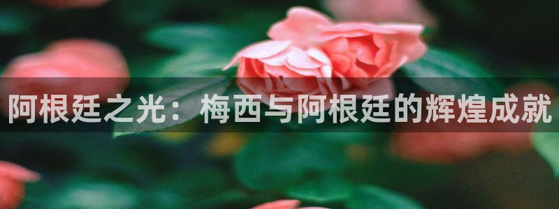 世界杯预选赛排名：阿根廷之光：梅西与阿根廷的辉煌成就