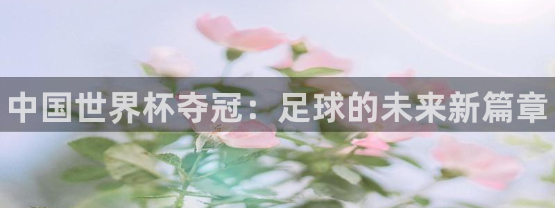世界杯 直播：中国世界杯夺冠：足球的未来新篇章