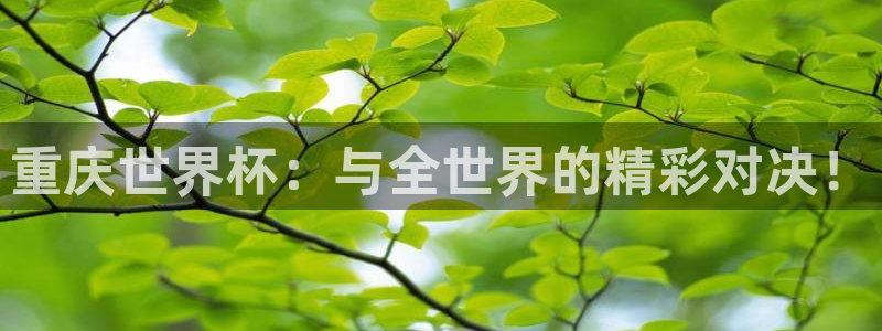 世界杯预选赛亚洲：重庆世界杯：与全世界的精彩对决！