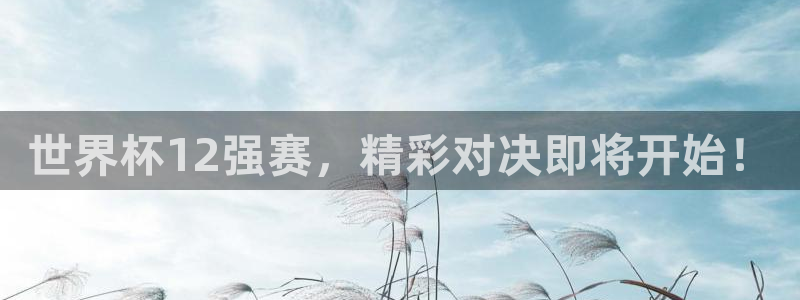 2026世界杯买球：世界杯12强赛，精彩对决即将开始！