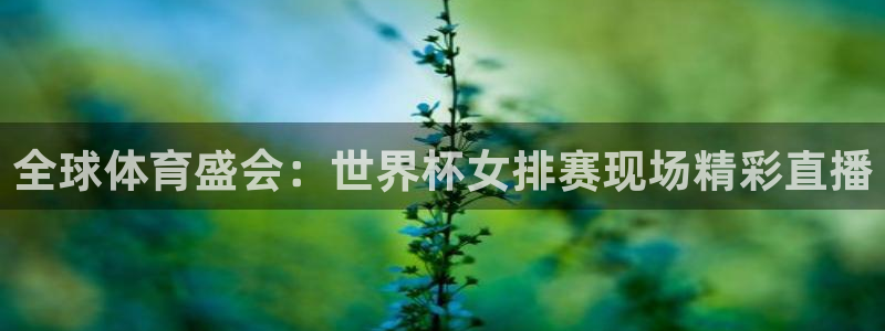 世界杯足球赛：全球体育盛会：世界杯女排赛现场精彩直播