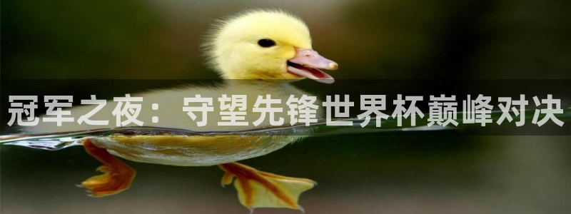 西超杯直播：冠军之夜：守望先锋世界杯巅峰对决