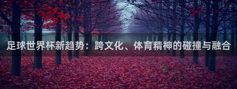 世界杯预选赛赛程表：足球世界杯新趋势：跨文化、体育精神的碰撞与融合