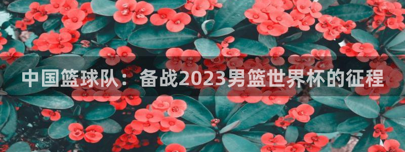 世界杯欧洲预选赛：中国篮球队：备战2023男篮世界杯的征程