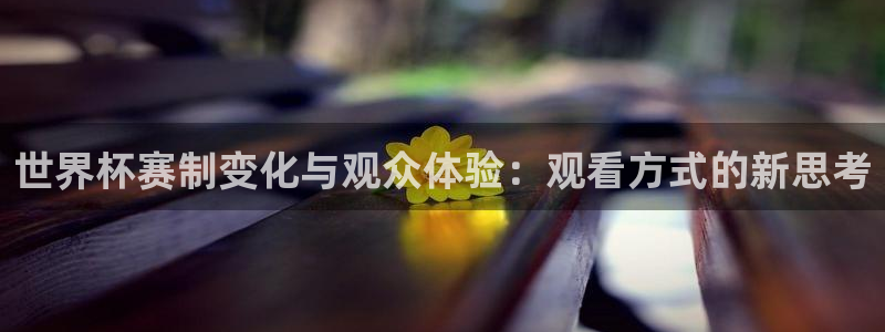 2026男足世界杯赛程：世界杯赛制变化与观众体验：观看方式的新思考