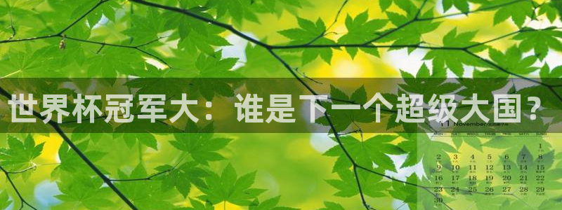亚洲区世界杯预选赛：世界杯冠军大：谁是下一个超级大国？