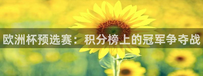 世界杯比赛：欧洲杯预选赛：积分榜上的冠军争夺战