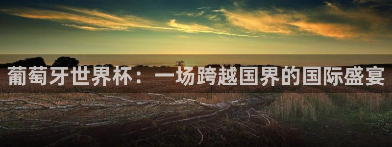世界杯预选赛规则：葡萄牙世界杯：一场跨越国界的国际盛宴